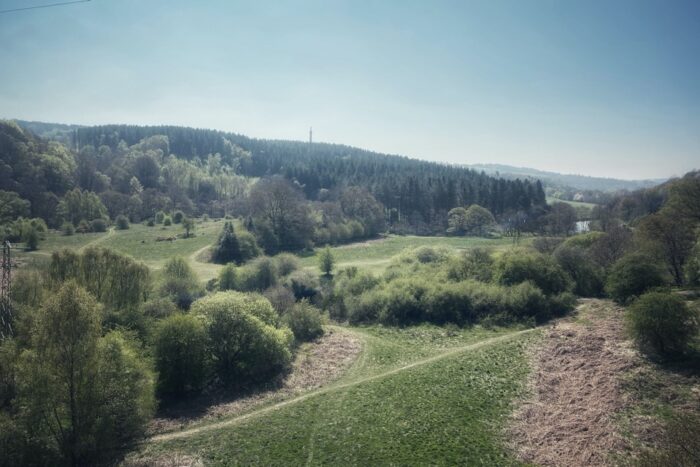 Gibside's Liberty Column from Derwent Walk