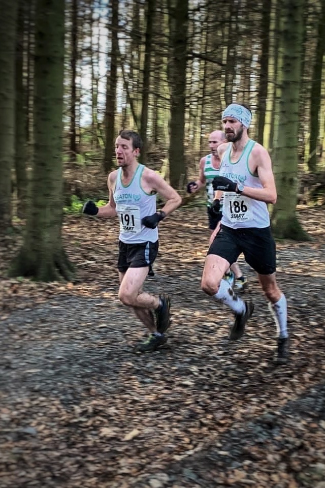 Running along the stones through the forest