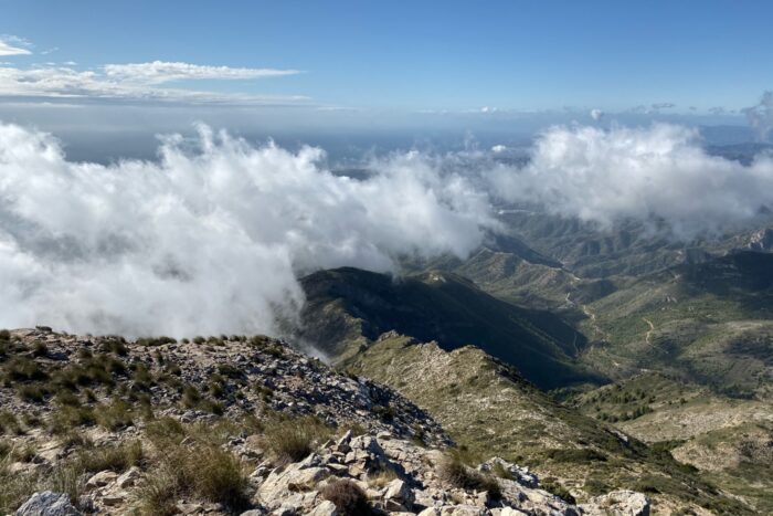 The view from the top