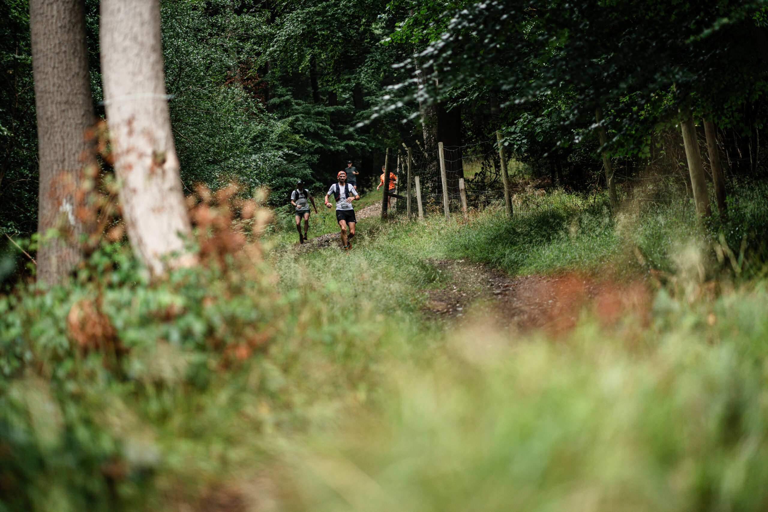 A group of runners run along a trail through a green forest.