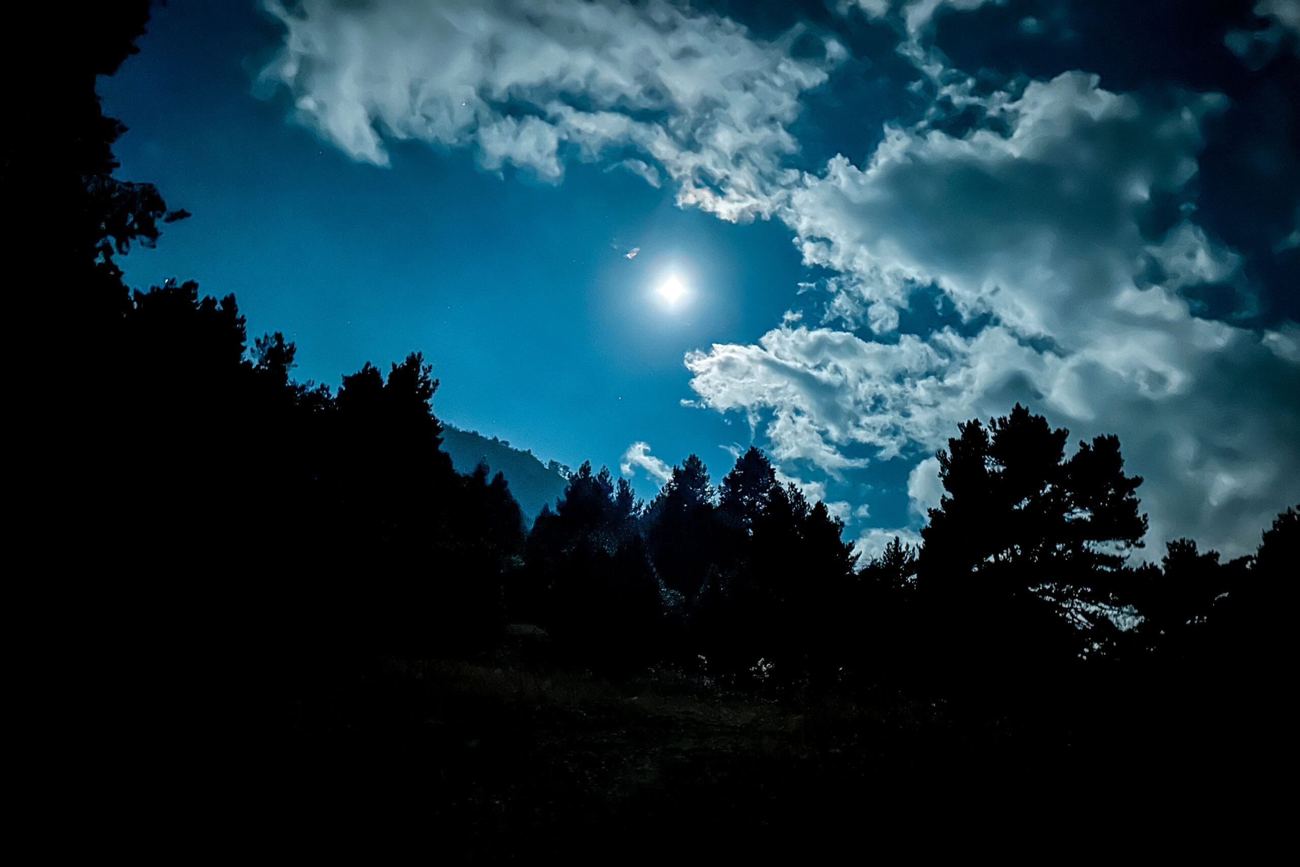 The moon shines brightly over some trees, in a cloudy sky.